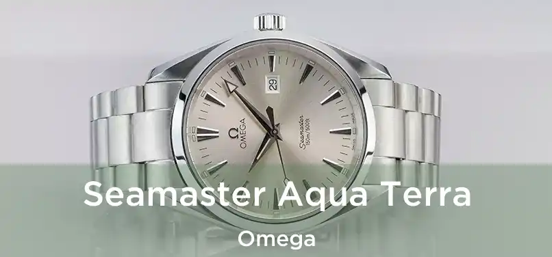  Seamaster Aqua Terra Omega